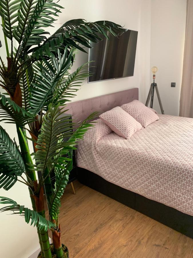 Loft De Lujo Con Piscina La Envia Διαμέρισμα Vícar Εξωτερικό φωτογραφία